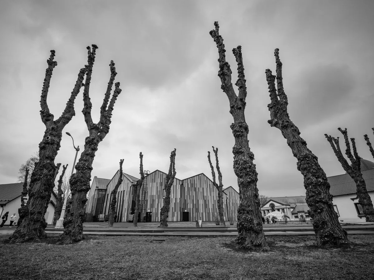 Фотовыставка «Тишина момента»